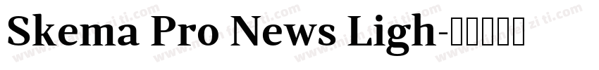 Skema Pro News Ligh字体转换